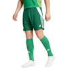 adidas Tiro 24 M IS1410 šortai