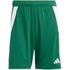 adidas Tiro 24 M IS1410 šortai