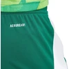 adidas Tiro 24 M IS1410 šortai