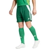 adidas Tiro 24 M IS1410 šortai