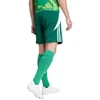 adidas Tiro 24 M IS1410 šortai
