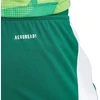 adidas Tiro 24 M IS1410 šortai