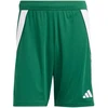 adidas Tiro 24 M IS1410 šortai