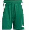 adidas Tiro 24 M IS1410 šortai