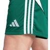 adidas Tiro 24 M IS1410 šortai