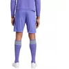 adidas Tiro 24 M IT2413 šortai
