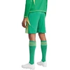 adidas Tiro 24 M IT2414 šortai