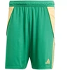 adidas Tiro 24 M IT2414 šortai