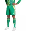 adidas Tiro 24 M IT2414 šortai