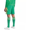 adidas Tiro 24 M IT2414 šortai
