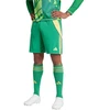 adidas Tiro 24 M IT2414 šortai