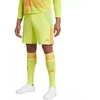 adidas Tiro 24 M IT2415 šortai