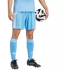 adidas Tiro 24 M JI6093 šortai