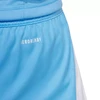 adidas Tiro 24 M JI6093 šortai