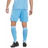 adidas Tiro 24 M JI6093 šortai
