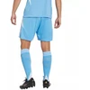 adidas Tiro 24 M JI6093 šortai