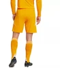adidas Tiro 24 M JN4497 šortai