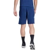 adidas Tiro 24 prakaito šortai vyrams IS2158