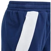 adidas Tiro 24 Prakarpiams Sportinčiams Kelnių Jaunesniems IS1008