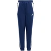 adidas Tiro 24 Prakarpiams Sportinčiams Kelnių Jaunesniems IS1008