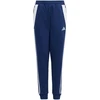 adidas Tiro 24 Prakarpiams Sportinčiams Kelnių Jaunesniems IS1008