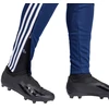 adidas Tiro 24 Treniruočių Kelnės W IS1006