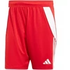 adidas Tiro 24 vyriški šortai IR9379