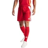adidas Tiro 24 vyriški šortai IR9379