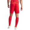 adidas Tiro 24 vyriški šortai IR9379