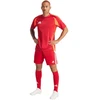 adidas Tiro 24 vyriški šortai IR9379