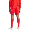 adidas Tiro 24 vyriškos kelnės IT2416