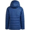 Adidas Tiro 24 Winter Jr IR9501 striukė