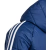 Adidas Tiro 24 Winter Jr IR9501 striukė