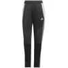 adidas Tiro 24 Winter W IX7887 Kelnės