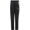 Adidas Tiro 24 Winterized Jr kelnės IM9975