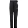 Adidas Tiro 24 Winterized Jr kelnės IM9975