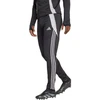 Adidas Tiro 24 Winterized M kelnės IM9974
