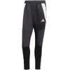 Adidas Tiro 24 Winterized M kelnės IM9974