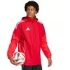 Adidas Tiro 25 Competition All-Weather M JI6503 striukė