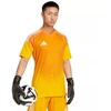 adidas Tiro 25 Competition Marškinėliai Trumpomis Rankovėmis M JN4502