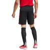 adidas Tiro 25 Competition Training Šortai M JI6491