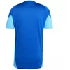 adidas Tiro 25 Competition treniruočių marškinėliai M JI6573