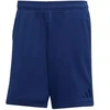 adidas Tiro 25 Kelioniniai šortai M JY5944