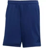 adidas Tiro 25 Kelioniniai šortai M JY5944