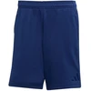adidas Tiro 25 Kelioniniai šortai M JY5944