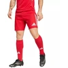 adidas Tiro 25 Varžybiniai vyriški šortai Raudoni JP4743