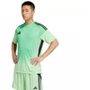 adidas Tiro 25 Varžybų vartininko džersis trumpos rankovės Vyriškas Žalias JI9716