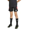adidas Tiro 26 League vaikiški šortai juodi ir raudoni JY7148