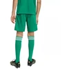 adidas Tiro 26 Lyga Vaikiški Šortai Žali KA8812