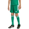 adidas Tiro 26 Lyga Vaikiški Šortai Žali KA8812